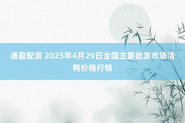 通盈配资 2025年4月29日全国主要批发市场活鸭价格行情