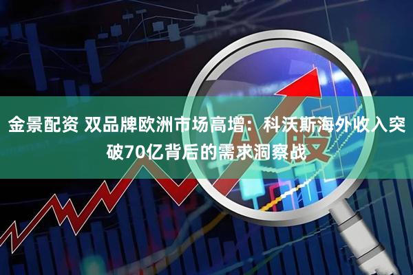 金景配资 双品牌欧洲市场高增：科沃斯海外收入突破70亿背后的需求洞察战