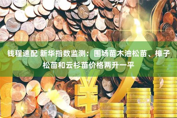 钱程速配 新华指数监测：围场苗木油松苗、樟子松苗和云杉苗价格两升一平